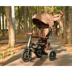 Qplay Rowerek Trójkołowy Rito Deluxe Rubber Brown