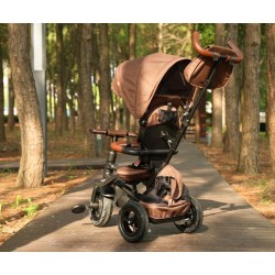 Qplay Rowerek Trójkołowy Rito Deluxe Rubber Brown