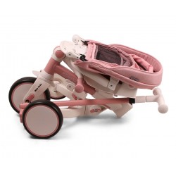 Milly Mally Rowerek Trójkołowy Zippy Pink