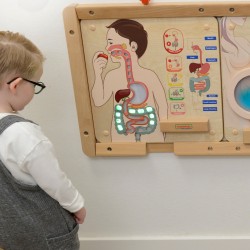 MASTERKIDZ Tablica Edukacyjna Układ Trawienny Montessori