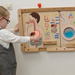 MASTERKIDZ Tablica Edukacyjna Układ Trawienny Montessori