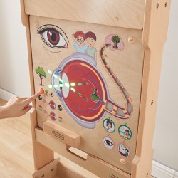 MASTERKIDZ Tablica Edukacyjna Zmysł Wzroku Montessori