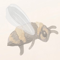 Tapeta dla dzieci kwiaty – małe