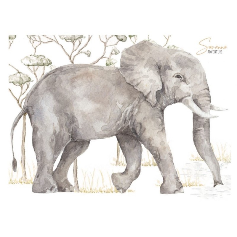 Naklejka Słoń z kolekcji Savanna Adventure