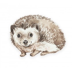 Poduszka ozdobna Hedgehog
