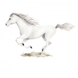 Naklejka Koń Koństanty Biały DK376