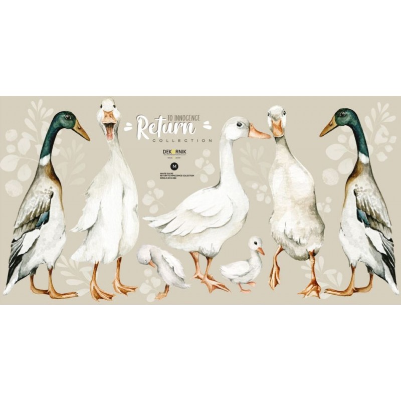 Naklejki na ścianę - White Ducks