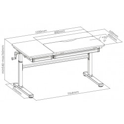 Dziecięce biurko regulowane XD SPE-X104WW 120x60 cm biały+szary