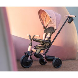 Qplay Rowerek Trójkołowy Elite Platinum Pink