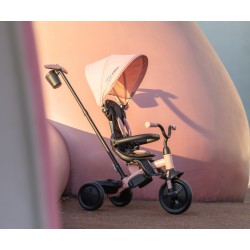 Qplay Rowerek Trójkołowy Elite Platinum Pink