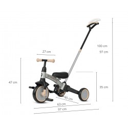 Qplay Rowerek Trójkołowy Stager 3w1 Silver